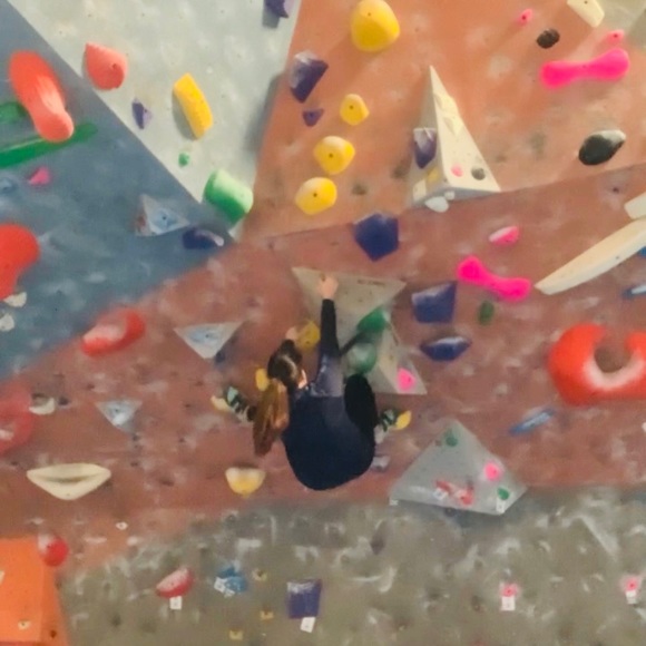 Meet your Posher, Belle - Picture 2 of 6